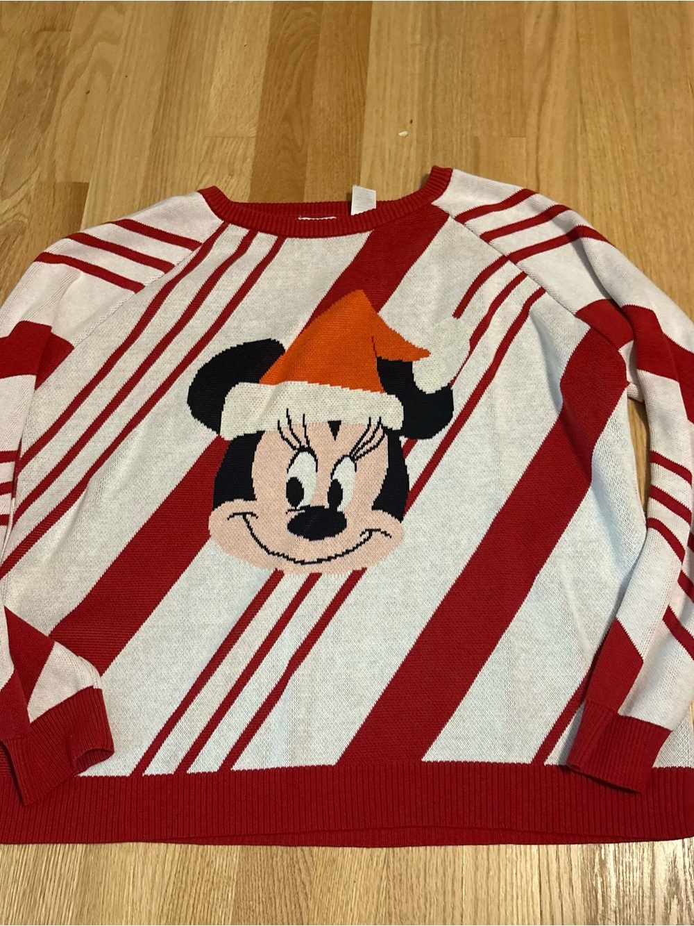 Disney Minnie Mouse Christmas Sweater Large World Land Cruise Red